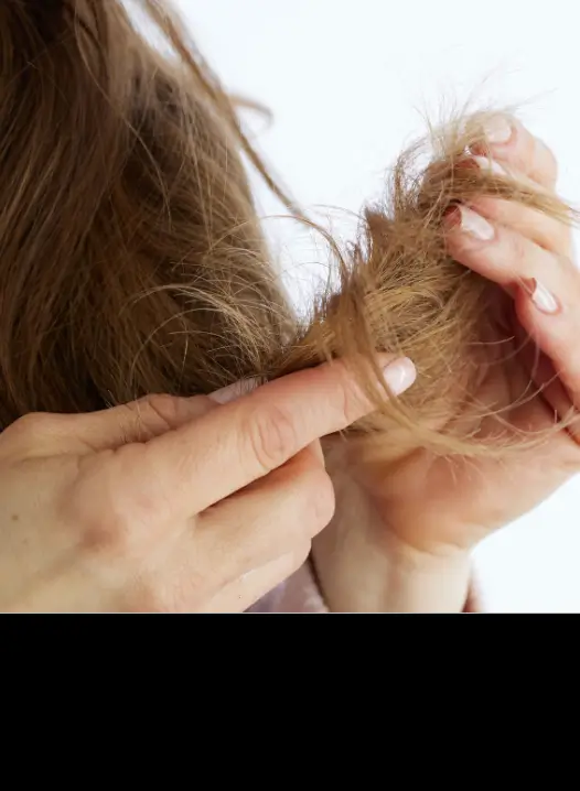 Damaged Hair Repair