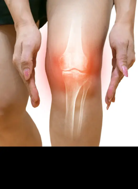 Bone & Joint Health